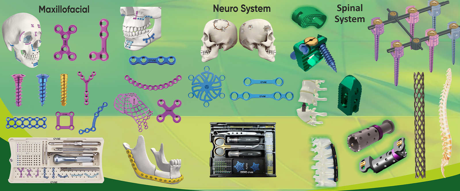 Ortho Care Manufacturer in Delhi