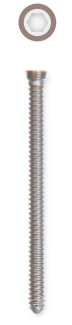 Locking Head Screw