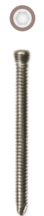 Locking Head Screw