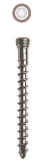 Locking Head Screw